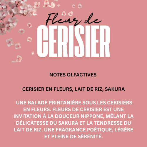 FLEURS DE CERISIER