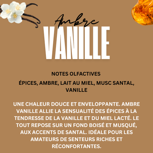 AMBRE VANILLE