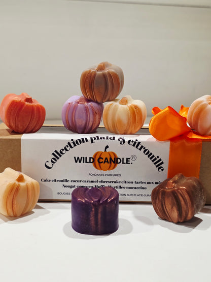 Coffret PLAID & CITROUILLE