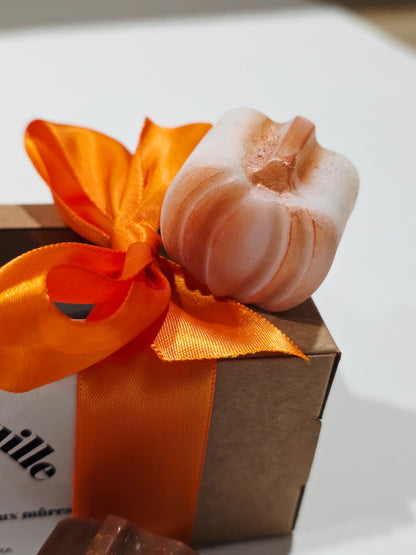 Coffret PLAID & CITROUILLE