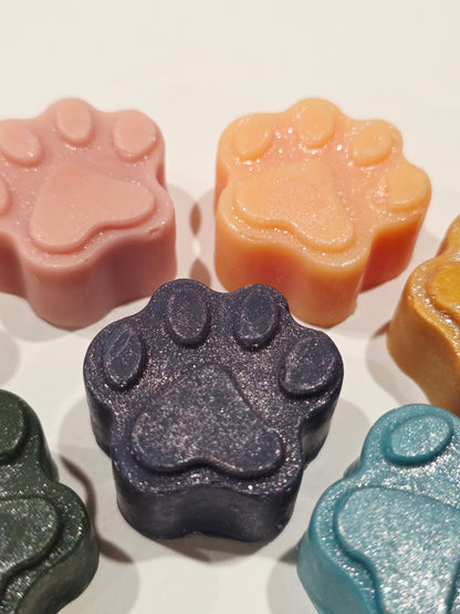 Coffret fondants Fleurs audacieuses