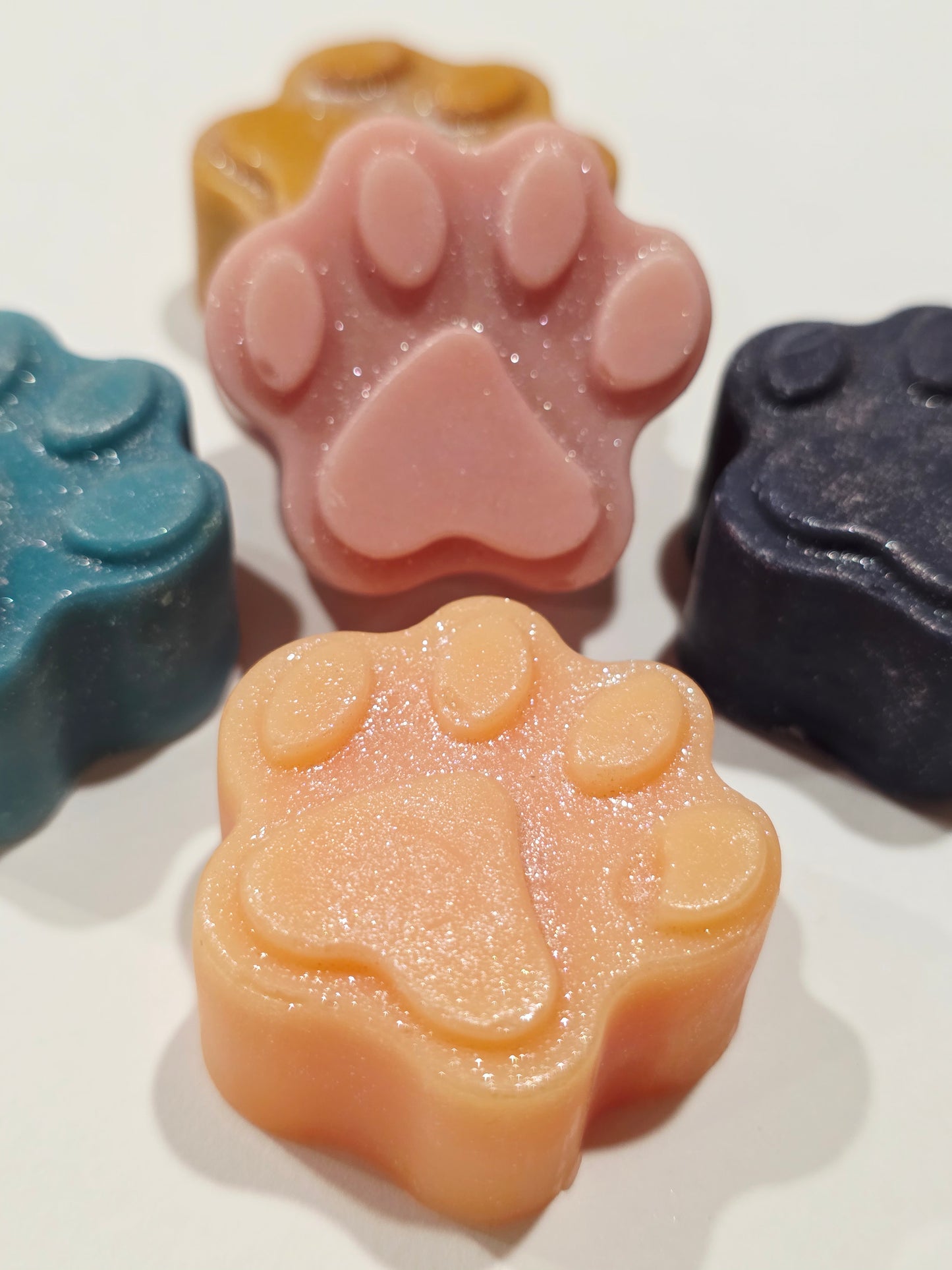 Coffret fondants Fleurs audacieuses