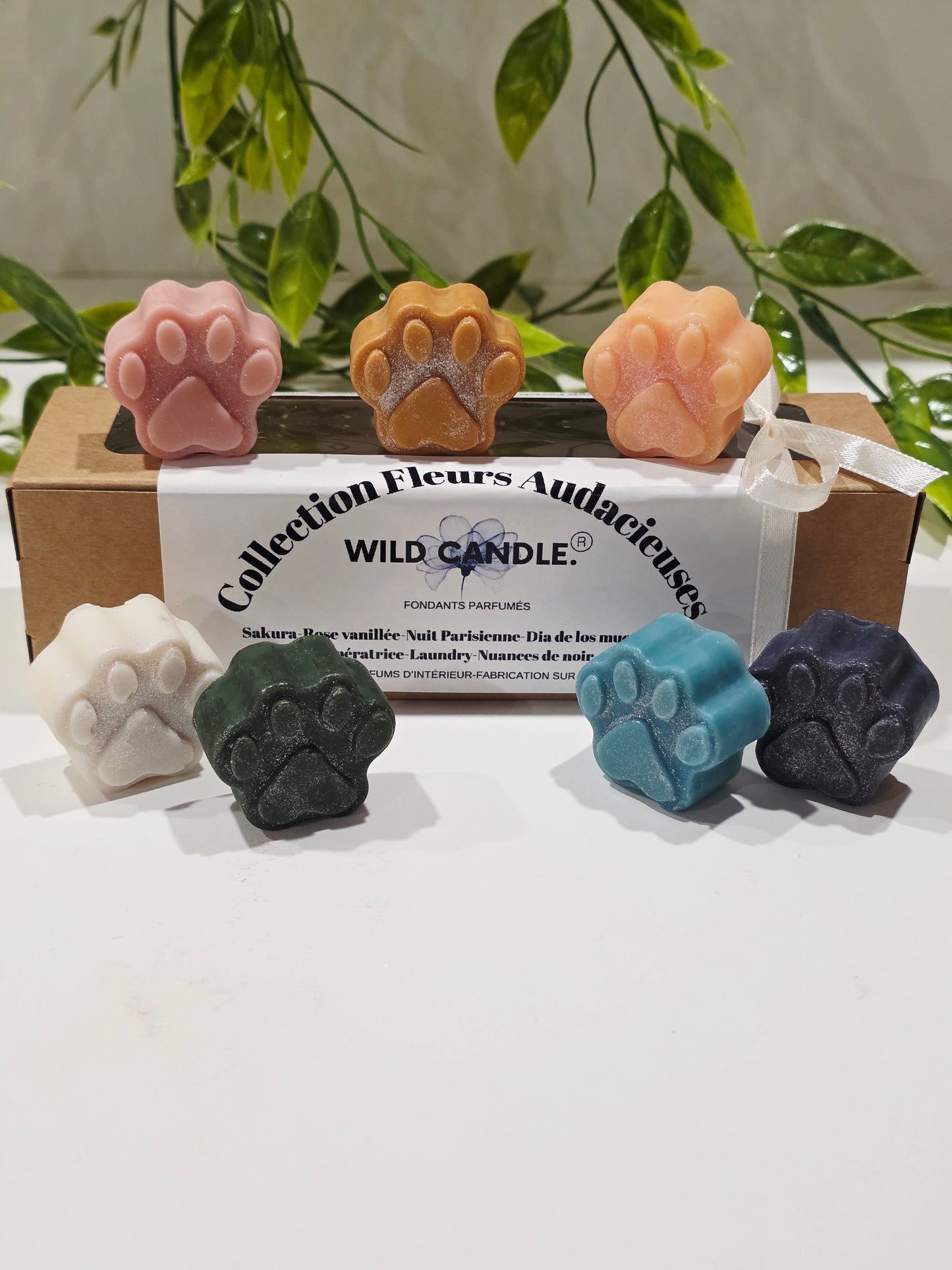 Coffret fondants Fleurs audacieuses