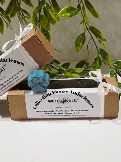 Coffret fondants Fleurs audacieuses