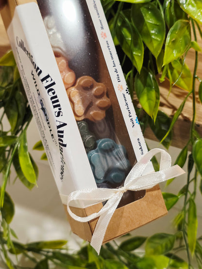 Coffret fondants Fleurs audacieuses