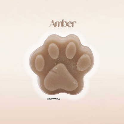 AMBER