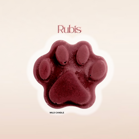 RUBIS